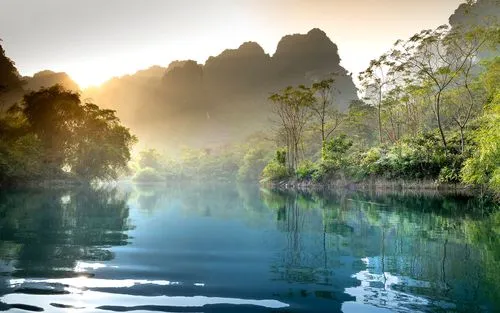 自动化高精度高端